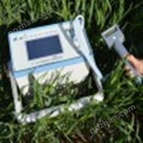 FS-3080H 植物光合测量系统 植物光合仪 植物叶片温度检测