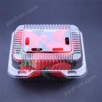 黑龙江食品吸塑盒定做 羊肉吸塑盒批发 对折吸塑盒