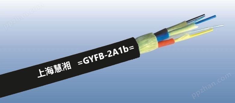 GYFB-2A1b.jpg