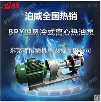 泊威RY（BRY）100-65-200型风冷式离心热油泵
