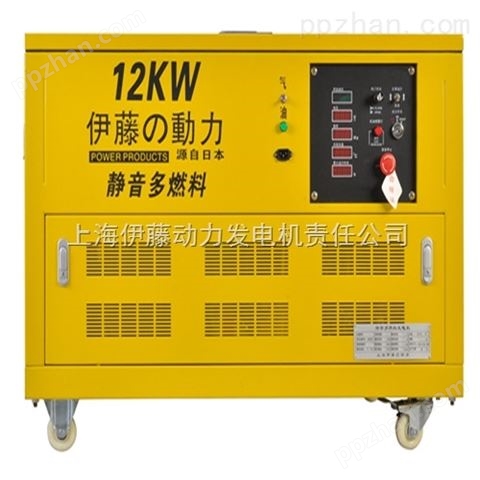 12KW汽油发电机型号
